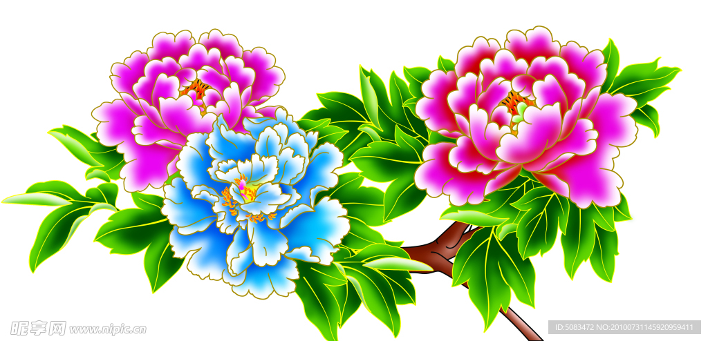 牡丹花