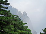 黄山云雾
