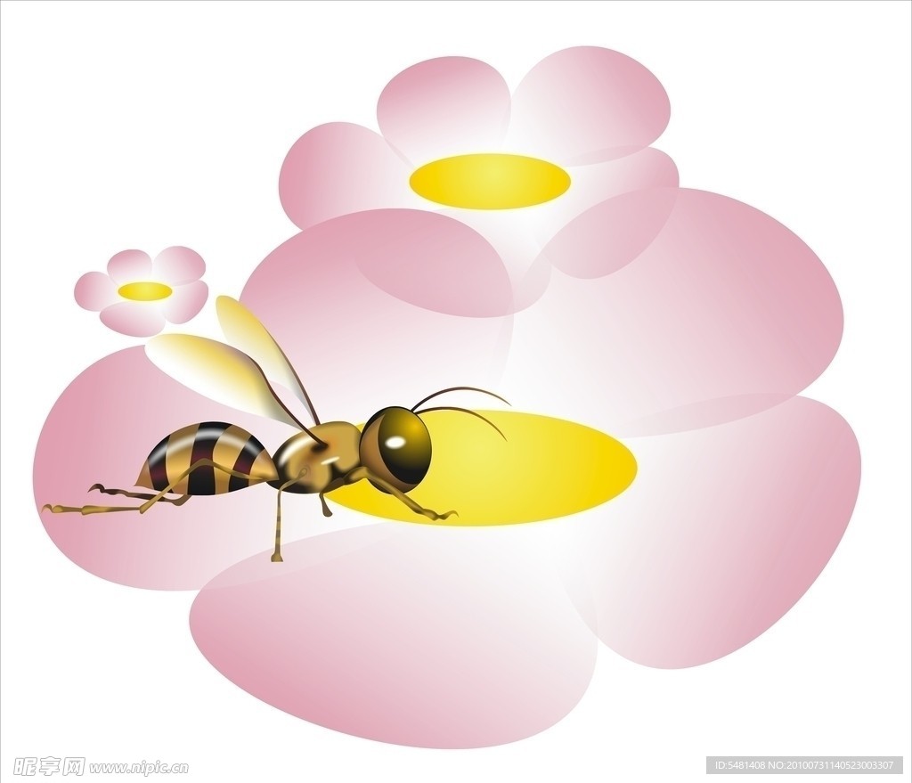 蜜蜂