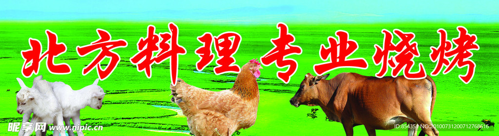 家禽