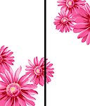 移门花儿朵朵