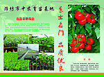 农业宣传单