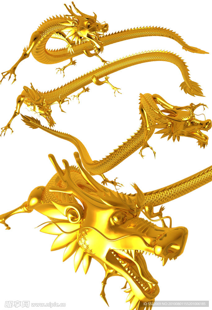 金龙