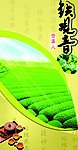 铁观音