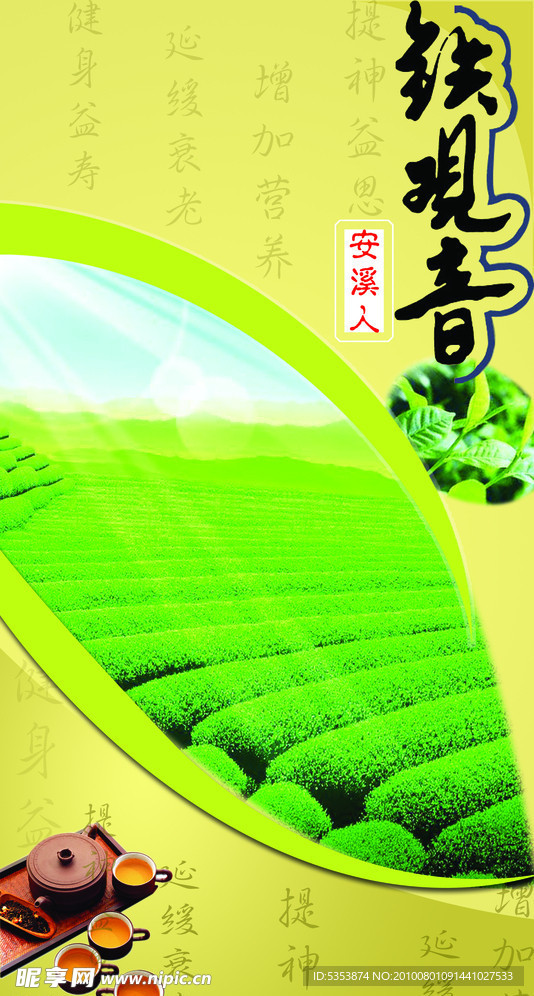 铁观音
