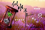 似水流年