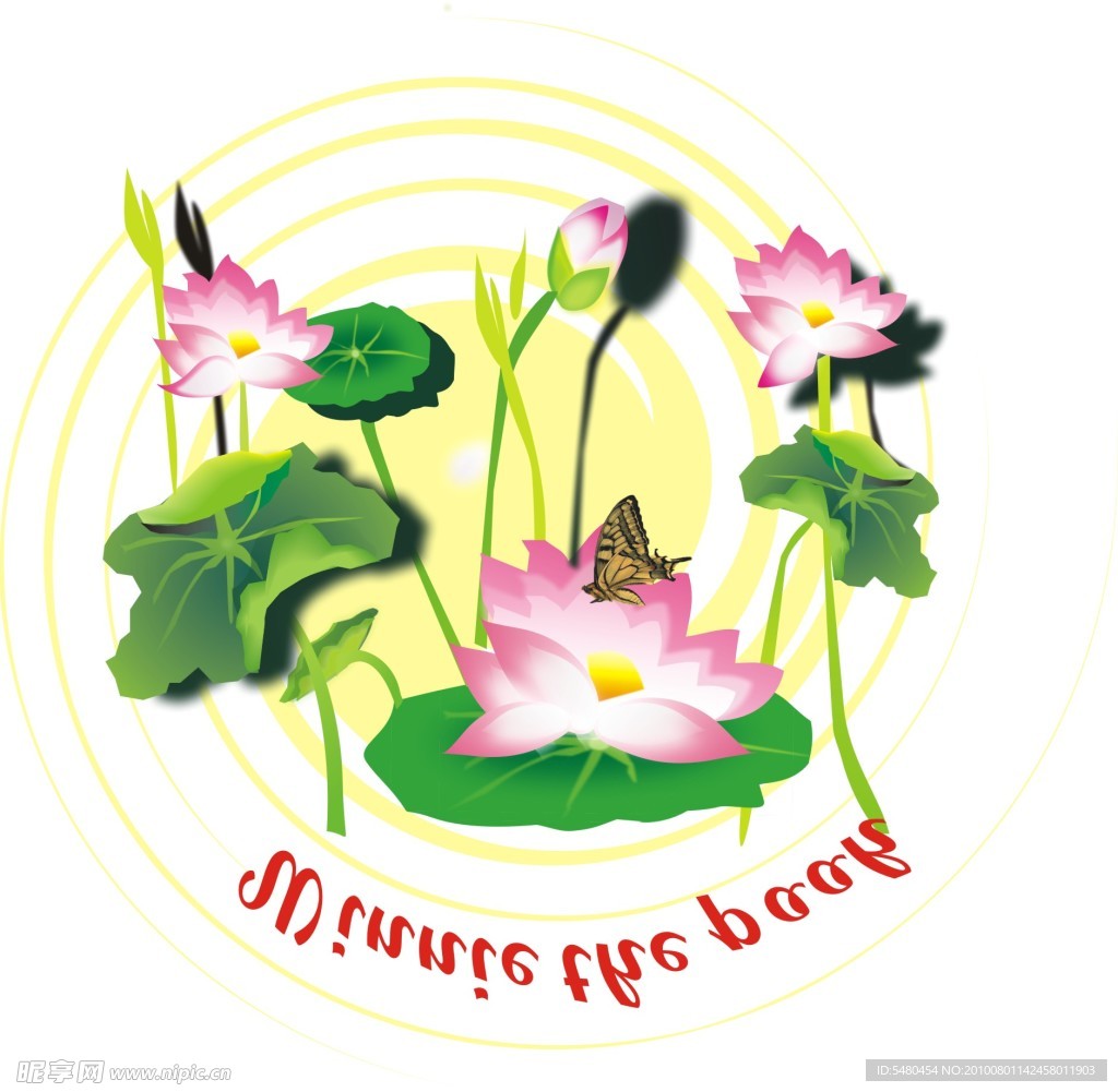 荷花