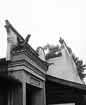 美丽的南方水乡