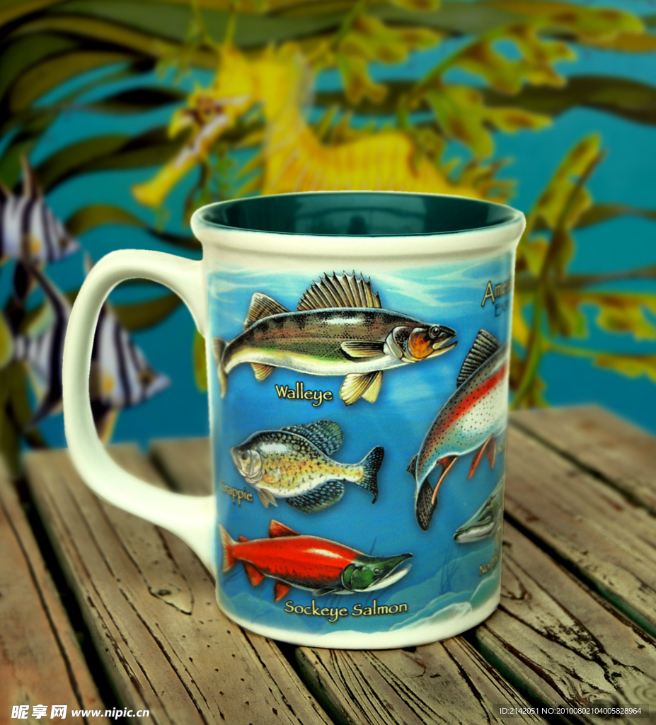 美国探险杯子鱼类图案