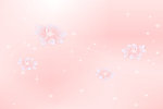 花之星