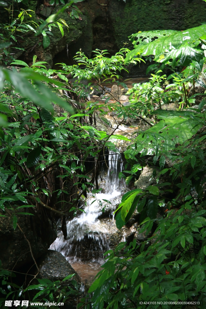 小溪