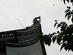 古镇西塘