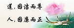莲 因洁而尊