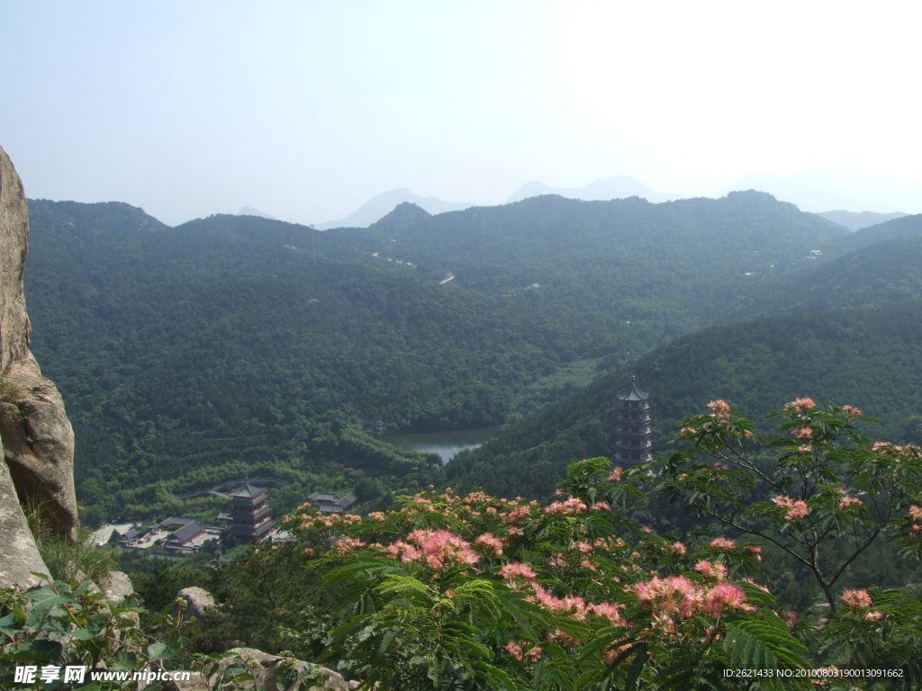 山花灿漫