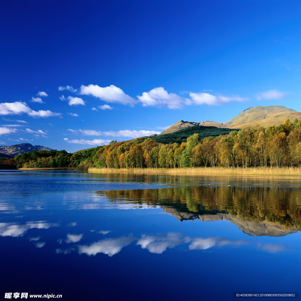 风景