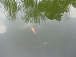 湖光山色