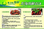 海鲜教你做菜