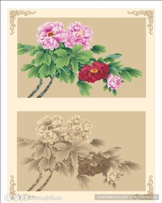 富贵花开