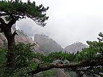 黄山云雾
