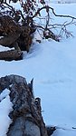 雪景