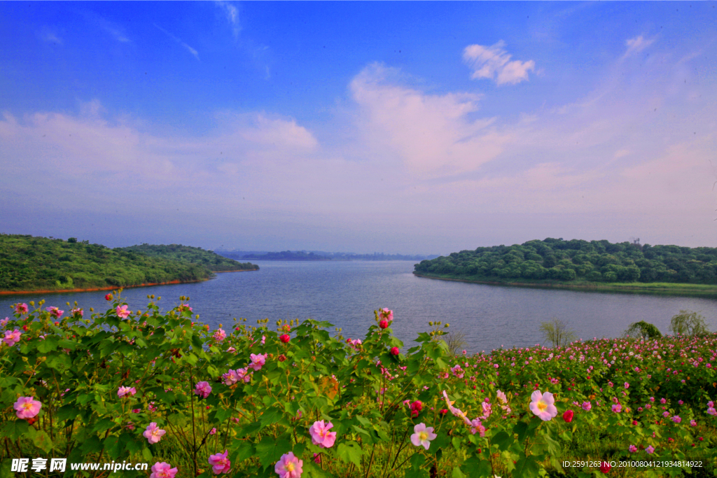 东莞松山湖景观