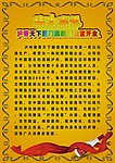 精细海抱 宣传单 彩页