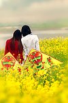 油菜花中的少女