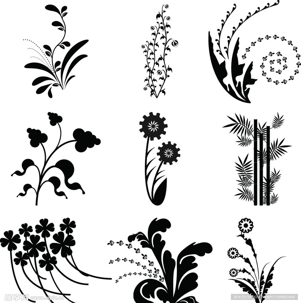 黑白植物花纹