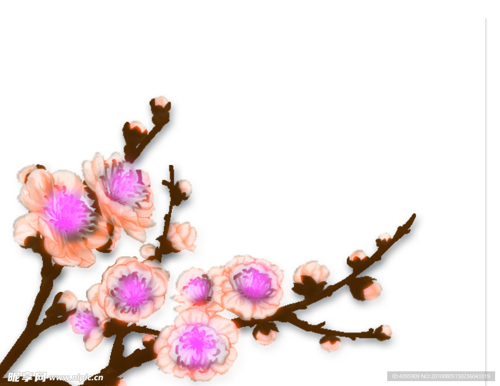 梅花