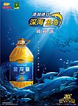 金龙鱼深海鱼油