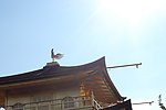 日本 金阁寺