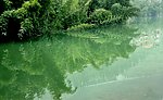 悠悠綦河水