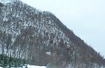 雪景