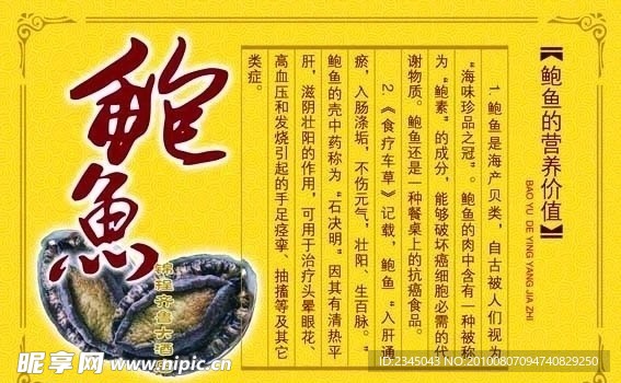 鲍鱼