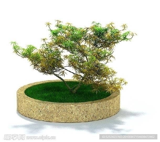 精美花台植物3D模型