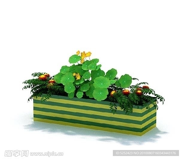 3D精美植物模型