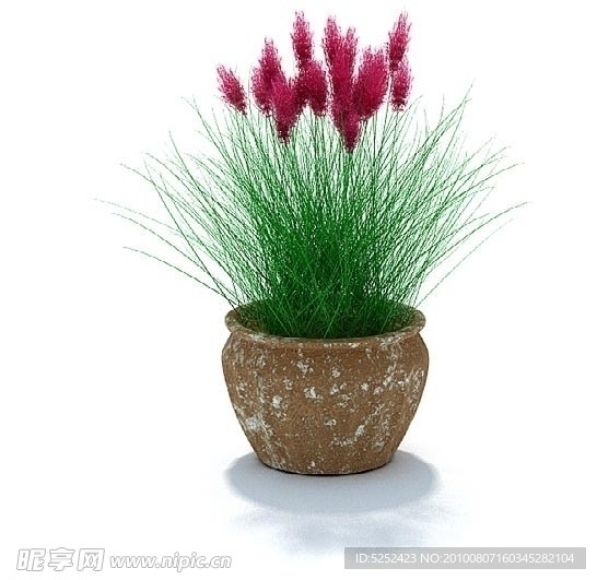 盆栽植物3D模型