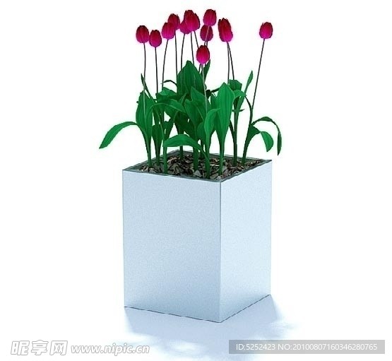 精美盆栽植物3D模型