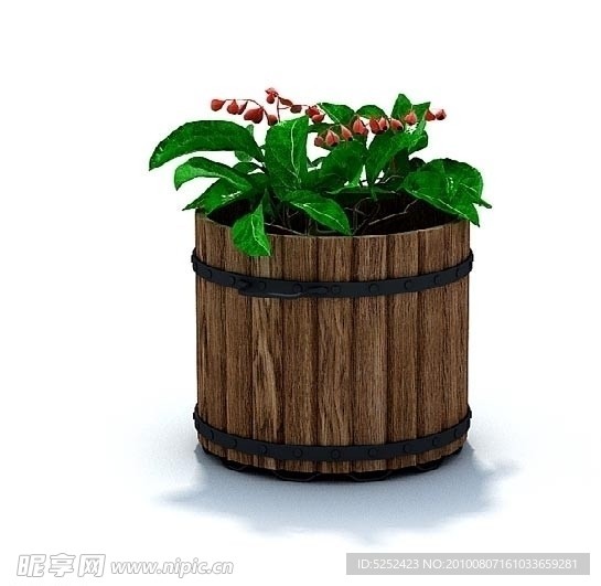 精致盆栽植物3D模型