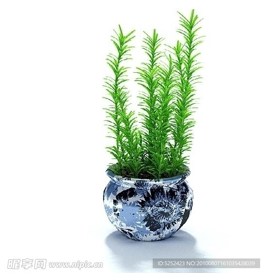 3D精美盆栽植物模型