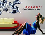 感受光的魅力