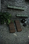 室外特写 植物