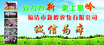 诚信为本