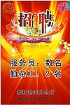 泰和港招聘