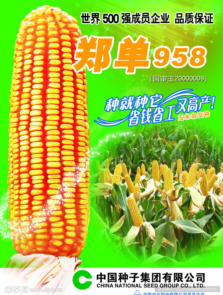 郑单958玉米宣传页