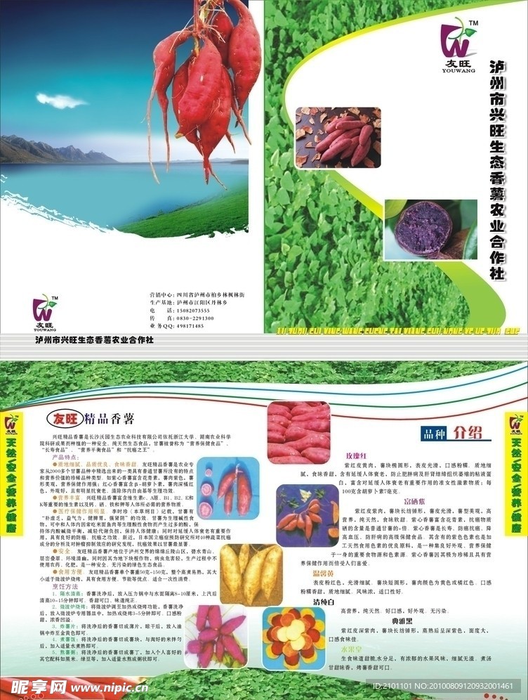 香薯