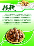 核桃