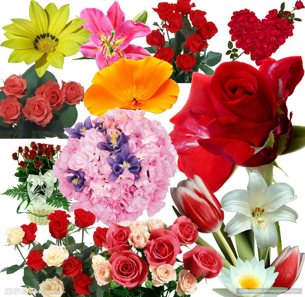 百花图