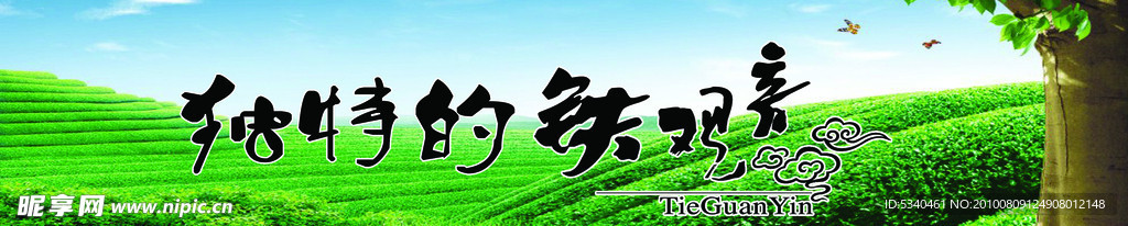 铁观音