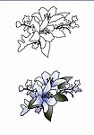 茉莉花